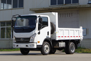 Ͽ D20P  87 4X2 3.3ж(NJA3040EPE31V) ͼƬ