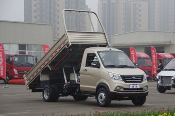 南骏汽车 瑞帅F2系 豪华版 82马力 4X2 2.515米自卸车(NJA3040SSG34V)
