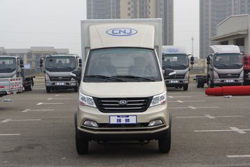 瑞帅F系&nbsp;电动载货车外观图片