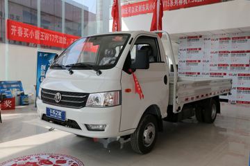 东风 小霸王W17 102马力 3.95米单排栏板微卡(宽轮距)(EQ1040S6BDB)