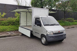 延龙&nbsp;电动载货车外观图片