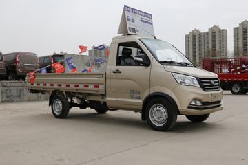 瑞帅C系&nbsp;载货车外观                                                图片