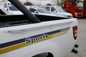 �������� ����F30 2019�� ��׼�� 1.5L���� 116���� ˫�Ŷ����Ƥ��(����)ͼƬ