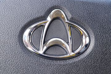 �������� ����F30 2019�� ��׼�� 1.5L���� 116���� ˫�Ŷ����Ƥ��(����)ͼƬ