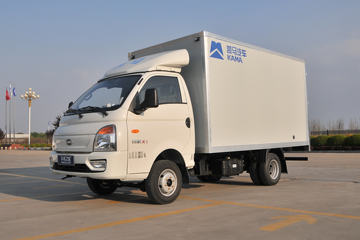 凯马 锐航X1 1.5L 113马力 汽油 3.95米单排厢式微卡(国六)(KMC5031XXYQ318D6)
