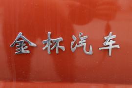 大力神 皮卡上装                                                图片