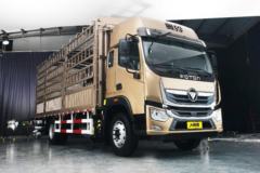 福田 奥铃大黄蜂 210马力 6.8米排半仓栅式载货车(高顶)