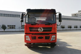 D913系列&nbsp;自卸车外观                                                图片