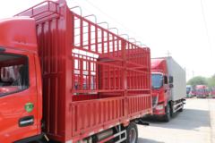 东风 多利卡D6-L 140马力 4.2米单排仓栅式轻卡(国六)(EQ5040CCY8CD2AC)