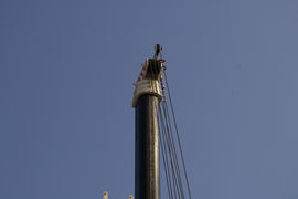 抚挖重工 汽车起重机&nbsp;吊车外观                                                图片