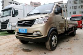 瑞帅F系&nbsp;载货车外观                                                图片