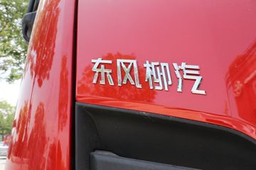  H7ؿ 460 6X4 LNGǣ(485)()(LZ4250H7DM1)ͼƬ