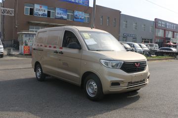 五菱 宏光V 2019款 劲取版 99马力 汽油 1.5L厢式运输车(国六)外观图片