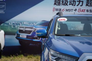 ֣���ղ� ����6 2020�� 2.3L���� 163���� ���� ˫��Ƥ��(����)ͼƬ