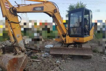 福田雷沃 履带挖掘机&nbsp;挖掘机外观图片