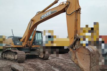 凯斯 履带挖掘机&nbsp;挖掘机图片