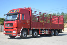 大运N9H 载货车外观                                                图片