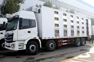 福田 欧曼新ETX 360马力 8X4 雏禽运输车(程力威牌)(CLW5310XCQB5)