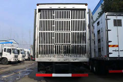 福田 欧曼新ETX 360马力 8X4 雏禽运输车(程力威牌)(CLW5310XCQB5)