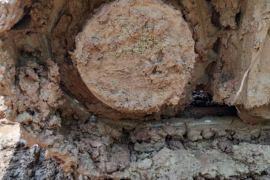 徐工 履带挖掘机&nbsp;挖掘机外观图片