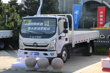 福田 奥铃新捷运 青春版 116马力 4.17米单排栏板轻卡(BJ1048V9JEA-A1)