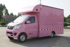 山东沂星 星安 2.35T 单排纯电动餐车(SDL5020XCCBEV)
