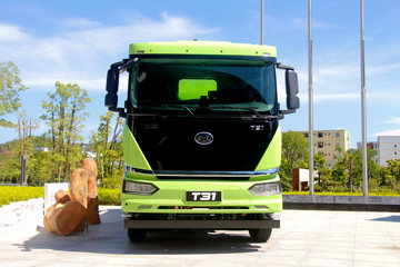 ���ǵ�T31 8X4 ���綯��ж��ͼƬ