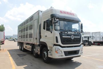 东风商用车底盘&nbsp;畜禽运输车外观图片