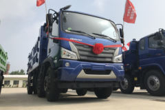 福田瑞沃 大金刚ES5 220马力 6X2 4.8米自卸车(BJ3244DMPFB-01)