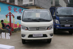 福田瑞沃 小金刚Ⅱ 88马力 4X2 3.6米自卸车(BJ3040D8JBA-AA)