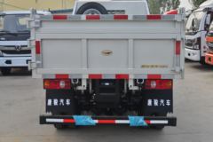 唐骏欧铃 小宝马 68马力 4X2 2.95米自卸车(ZB3042BDC3V)