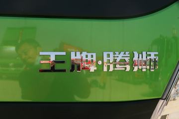 �й������ɶ����ó� ��ʨ 190���� 4X2 3.8����ж��(����)ͼƬ