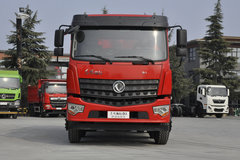 东风新疆 拓行D3 210马力 4X2 绿化喷洒车(国六)(程力威牌)(CLW5180GPSZD6)