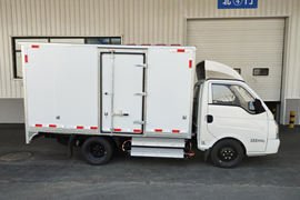 德帅V4&nbsp;电动载货车外观图片