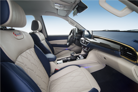 大将军G9&nbsp;皮卡驾驶室                                               图片