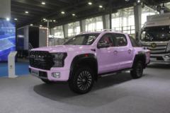 福田 大将军G9 木兰版 2T汽油 238马力 四驱 自动挡 双排皮卡(国六)