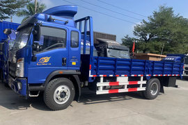 王系&nbsp;载货车外观                                                图片