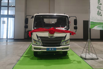 福田 时代领航5 4.5T 4.17米纯电动仓栅式轻卡(BJ5045CCYEV)81.14kWh