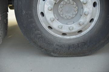 �����ؿ� ����X5000 550���� 6X4 ǣ����(12��)ͼƬ