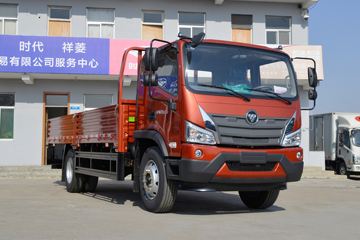 福田 时代领航ES5 170马力 4X2 5.4米排半栏板载货车(速比5.286)(BJ1183VKPED-FA)外观图片