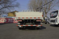 福田 时代H2 115马力 4X2 4.15米自卸车(BJ3043D9JBA-FD)