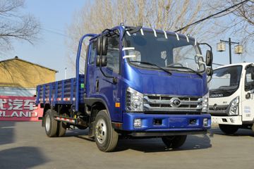 福田 时代H2 115马力 3.8米自卸车(BJ3043D9PBA-FD)