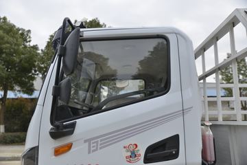 ���绪�� T3 165���� 4X2 ��ƿ���䳵(����)(��������)ͼƬ