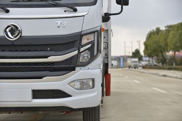 ���绪�� T3 165���� 4X2 ��ƿ���䳵(����)(��������)ͼƬ