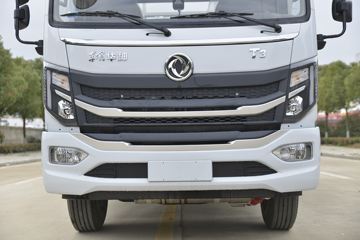 ���绪�� T3 165���� 4X2 ��ƿ���䳵(����)(��������)ͼƬ