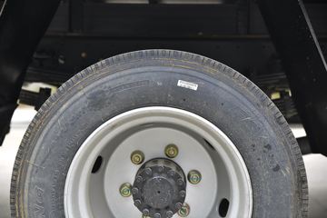 ���绪�� T3 165���� 4X2 5.13����ȼ������ʽ���䳵(����)(��������)(CLW5121XRQE6)ͼƬ