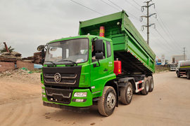 雄狮&nbsp;自卸车外观                                                图片