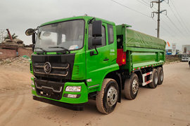 雄狮&nbsp;自卸车外观                                                图片