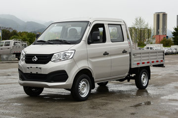 Խ ±T1 1.24L  ׼ 91 2˫΢(SC1021XLS6B1)ͼƬ