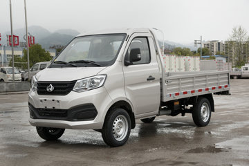 Խ ±T1 1.24L  ׼ 91 2˫΢(SC1021XLS6B1)ͼƬ